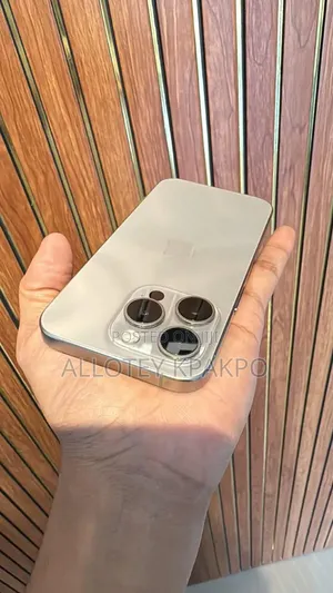 Apple iPhone 15 Pro Max 256 GB Silver