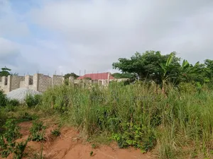 90*100 Full Plot of Land