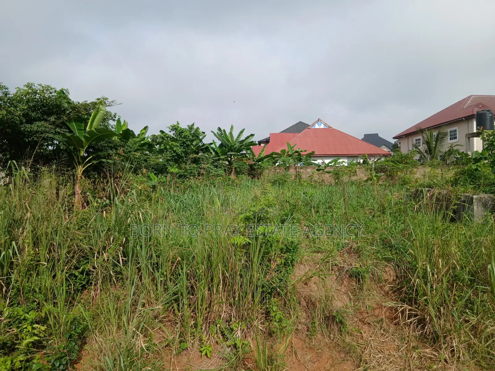 90*100 Full Plot of Land
