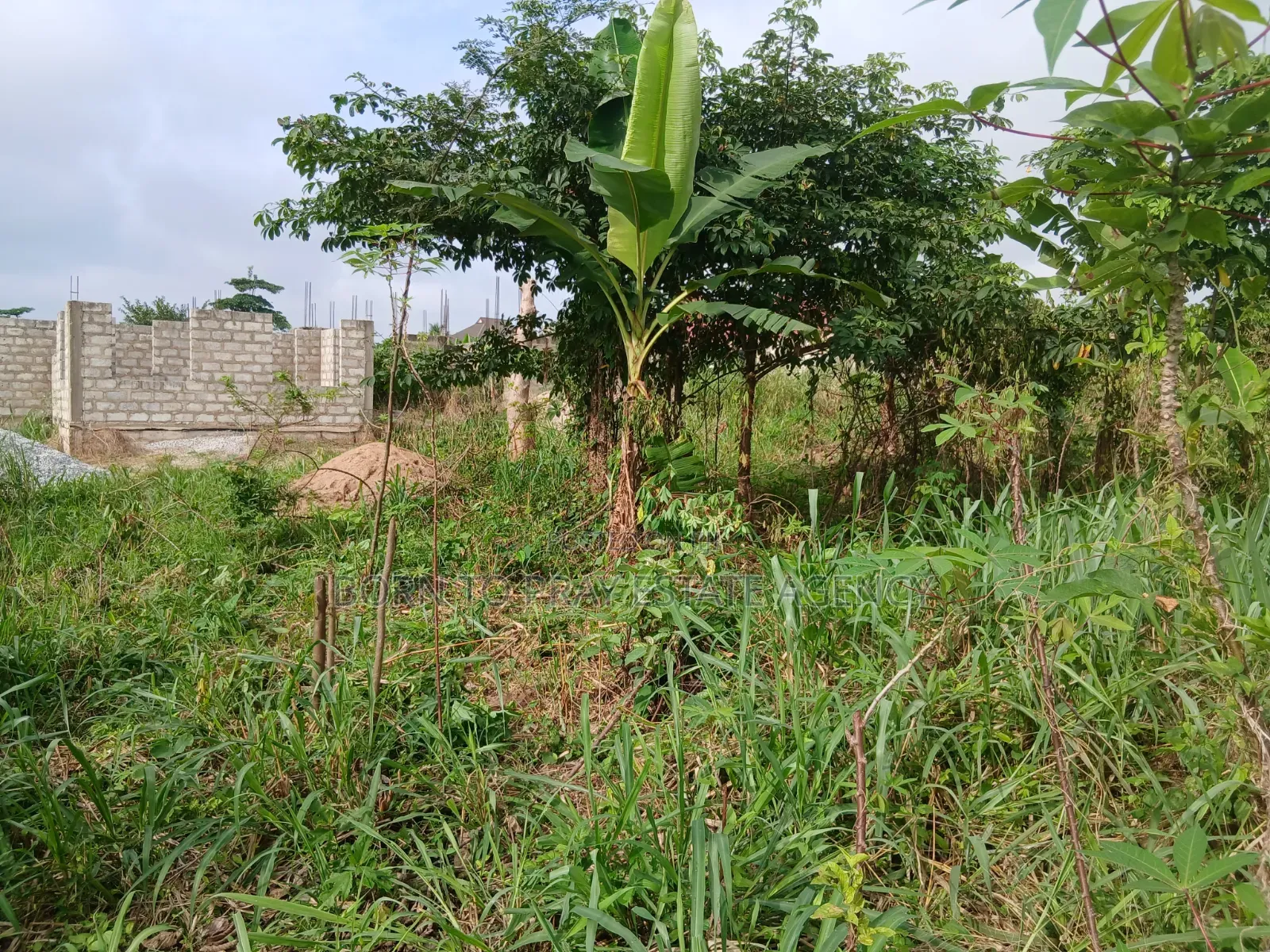 90*100 Full Plot of Land