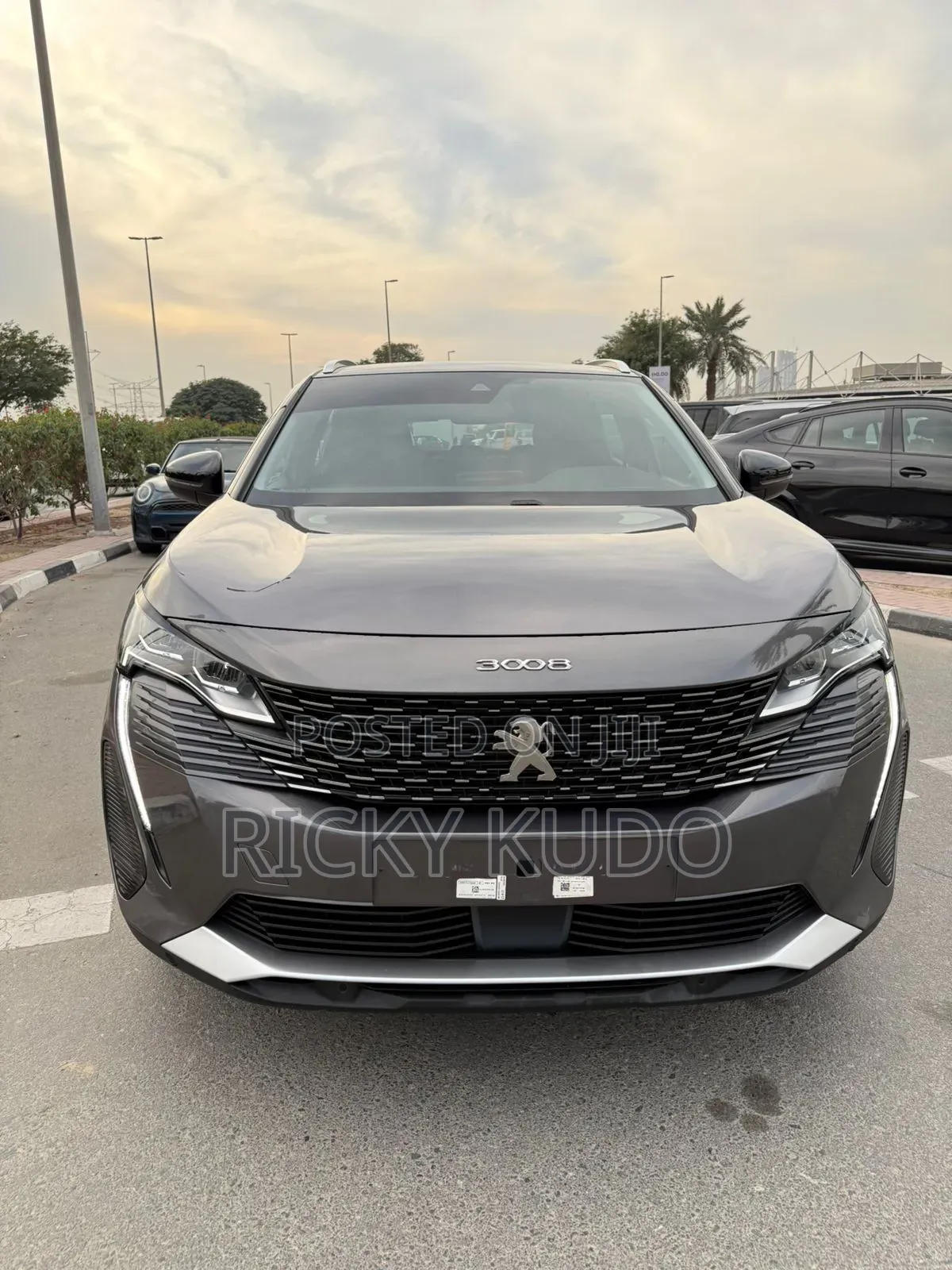 Peugeot 3008 2023 Gray