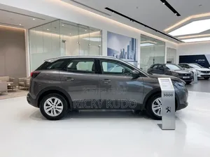 Peugeot 3008 2023 Gray