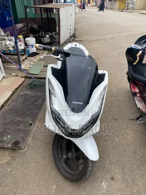Honda 2021 White