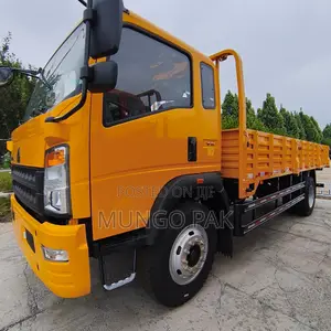 Howo Light Truck