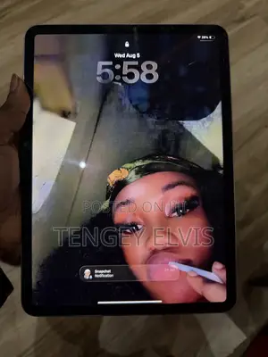 Apple iPad Pro 256 GB Gray