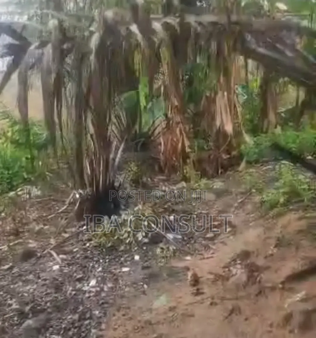 Registered Land for Sale at Pokuase Ecoblock