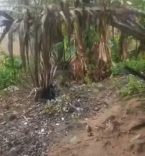 Registered Land for Sale at Pokuase Ecoblock