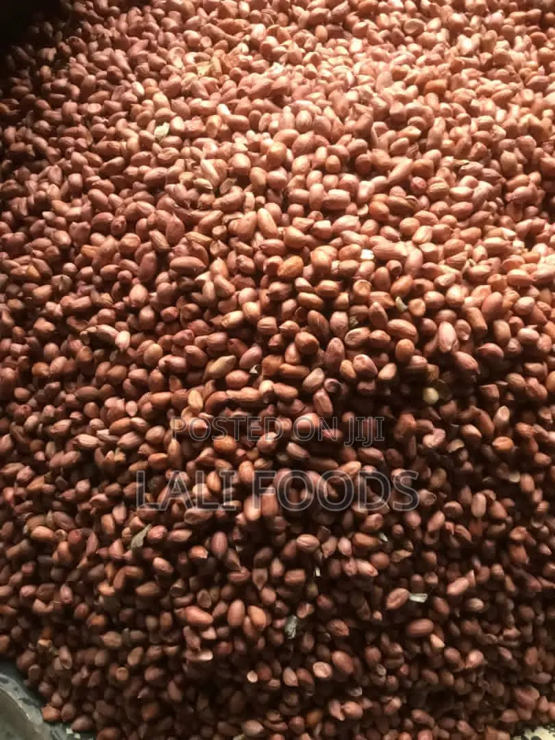 Fresh Groundnut -Normal Grade (100 Kg/Bag)