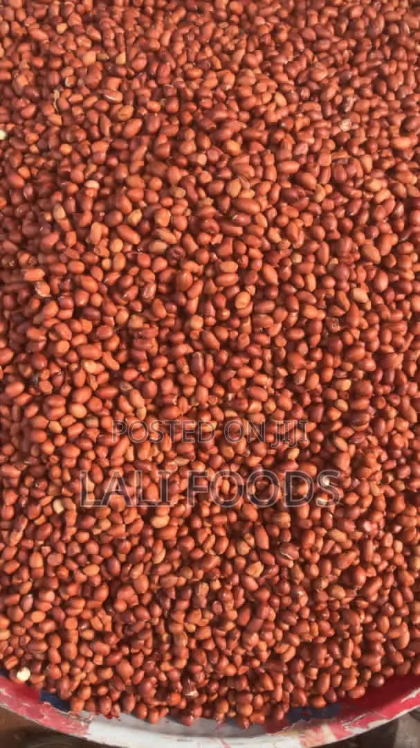 Fresh Groundnut – High Grade (100kg Bag)