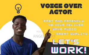 Professional Voice Over Artist Voice Over Actor/Sound Engineer