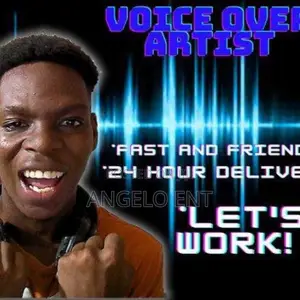 Professional Voice Over Artist Voice Over Actor/Sound Engineer