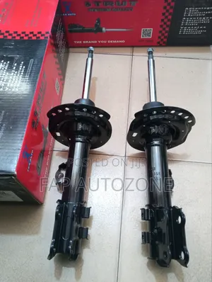 Genuine FCS Hyundai Elantra Strut Assembly From USA