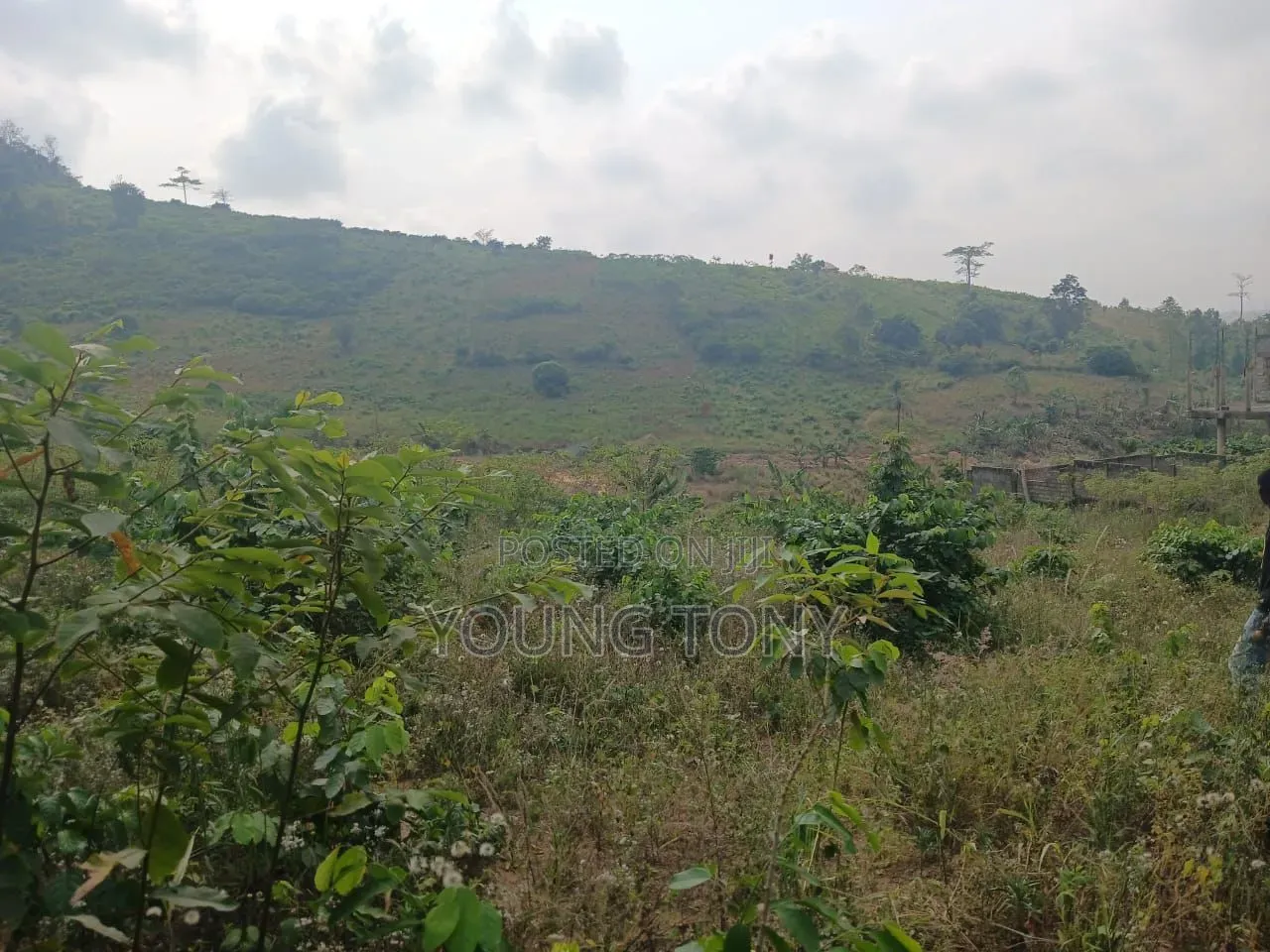 4plots of Registered Land With Papers for Sale