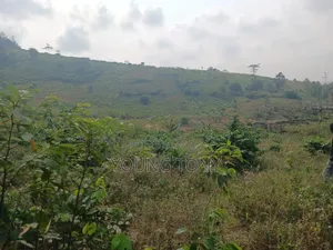 4plots of Registered Land With Papers for Sale