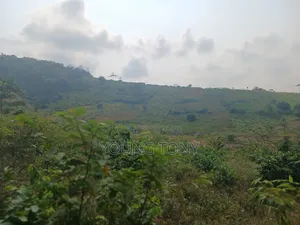 4plots of Registered Land With Papers for Sale