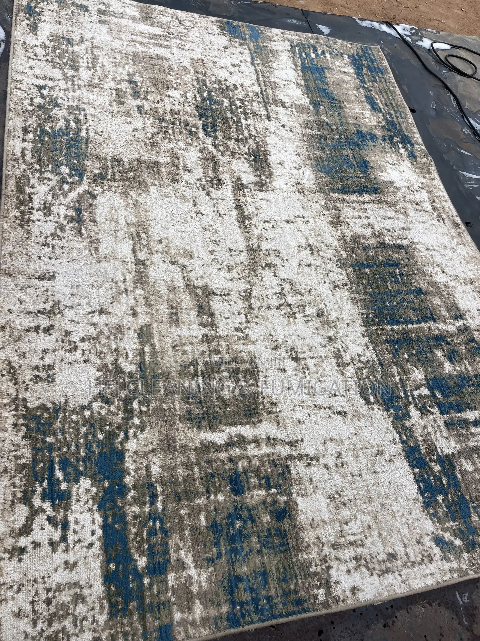 Carpet Cleaning Service