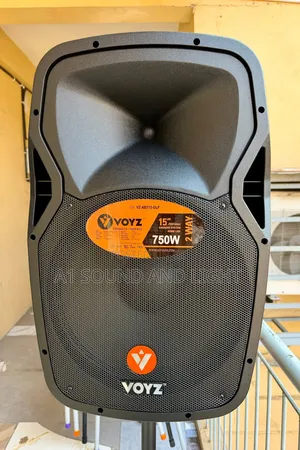 Voyz VZ-AB515-GLP 15" Rechargeable Active Speaker
