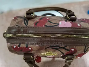 Coach Cherry Bag