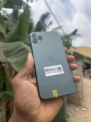 Apple iPhone 11 Pro Max 64 GB Green