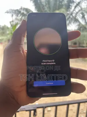 Apple iPhone 11 Pro Max 64 GB Green