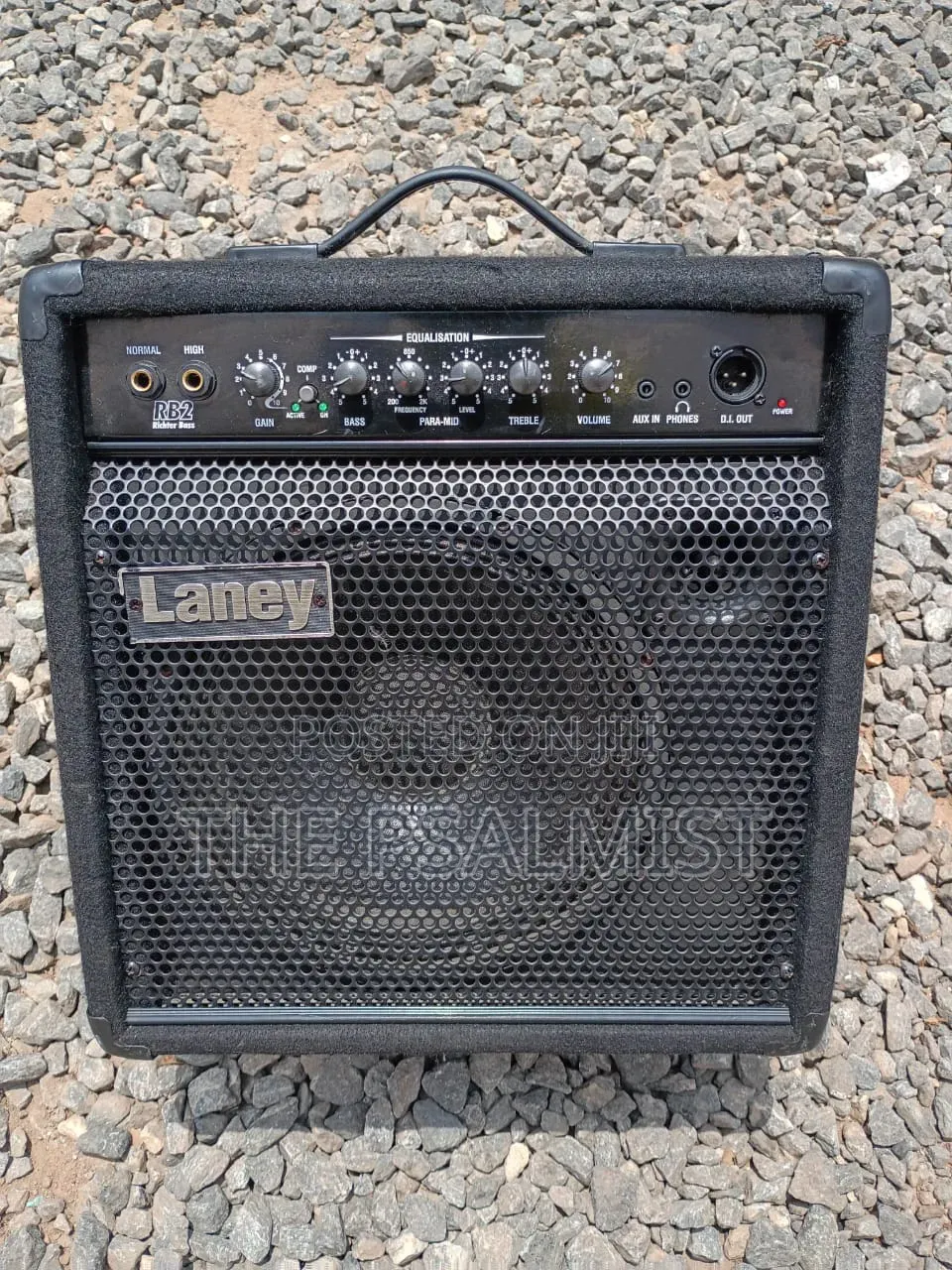 Laney RB 2 Richter Bass Guitar Combo