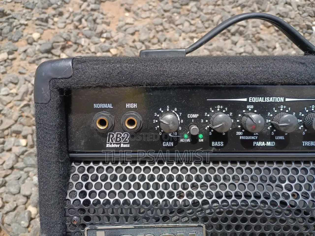 Laney RB 2 Richter Bass Guitar Combo