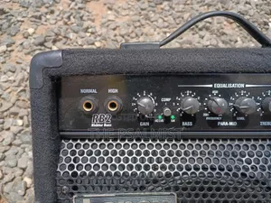 Laney RB 2 Richter Bass Guitar Combo