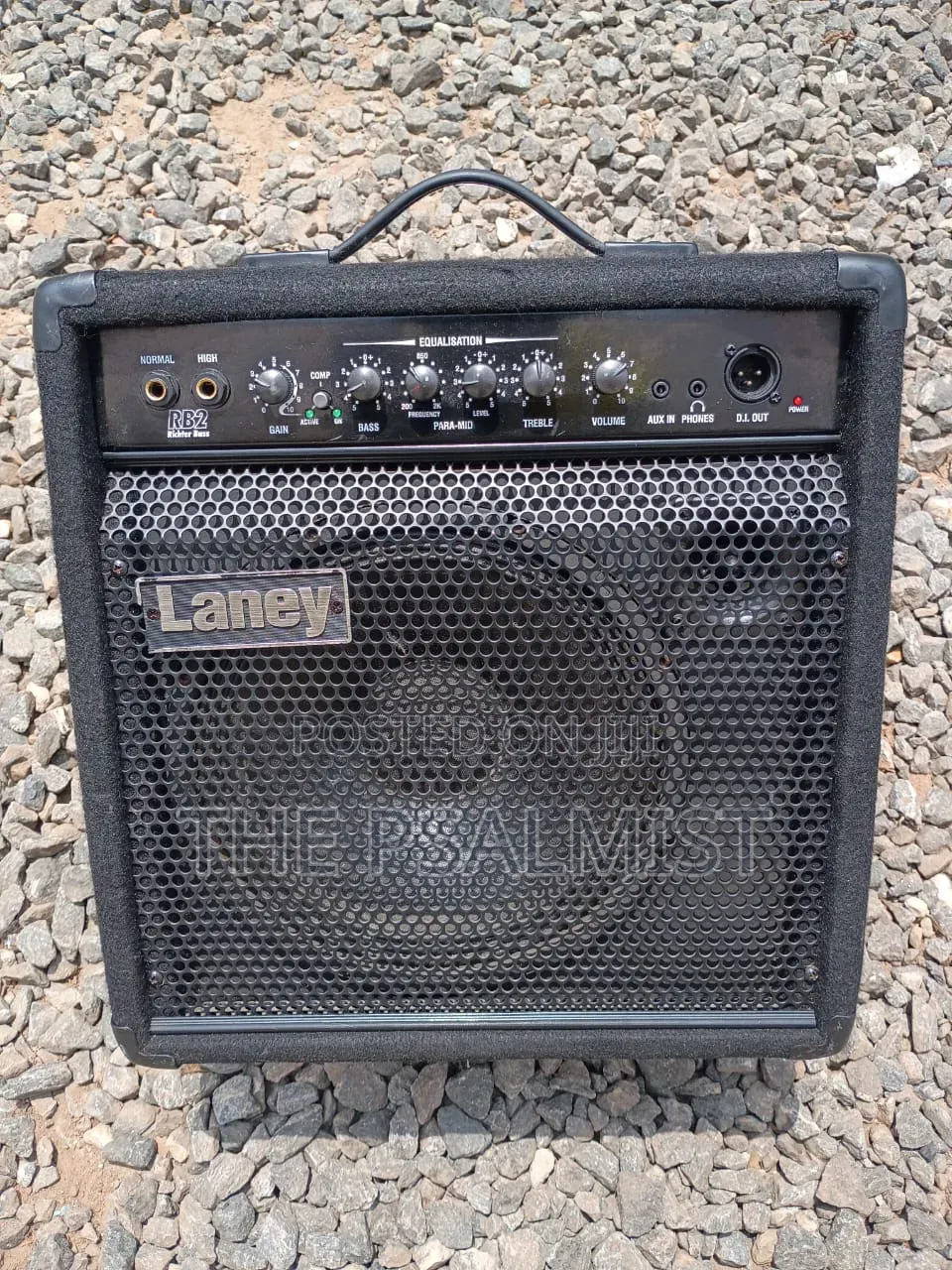 Laney RB 2 Richter Bass Guitar Combo