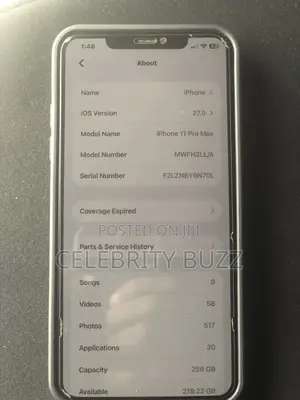 Apple iPhone 11 Pro Max 256 GB Gray