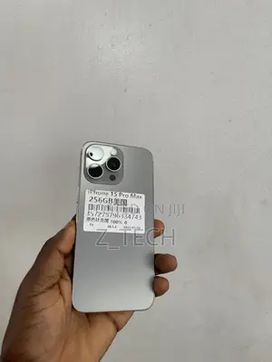 Apple iPhone 15 Pro Max 256 GB Gray