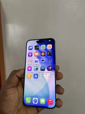 Apple iPhone 15 Pro Max 256 GB Gray