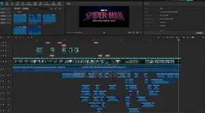Video Editor/ Videographer