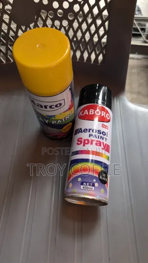 Car Can Spray