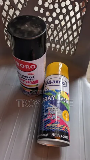 Car Can Spray