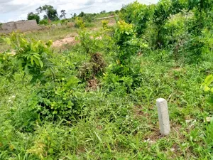 Invest Into Lands at Amasaman-Danchira