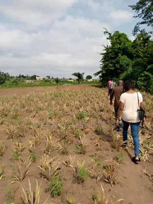 Invest Into Lands at Amasaman-Danchira