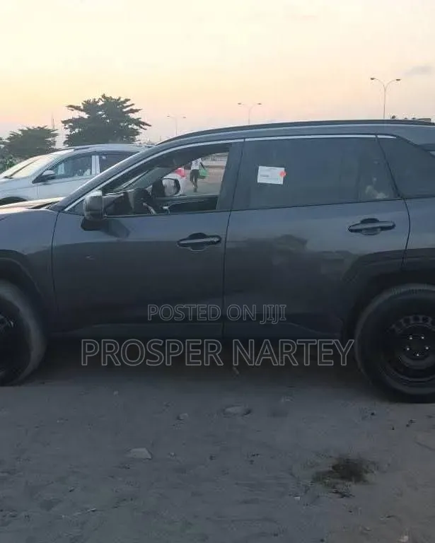 Toyota RAV4 2021 Brown