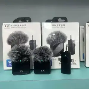 This Is a Dual-Channel Wireless Laval
