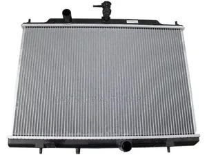Nissan Chevrolet City Express Radiator [Water Tanks] - To All Areas.