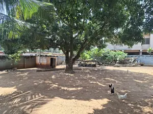 Land for Sale in Prime Location in Madina Rawlings Circle