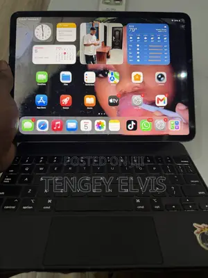 Apple iPad Pro 256 GB Gray