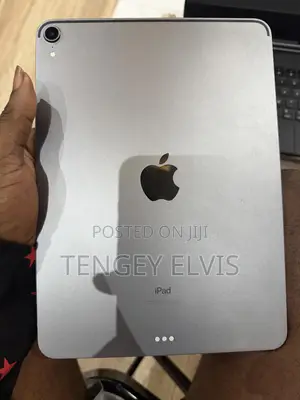 Apple iPad Pro 256 GB Gray