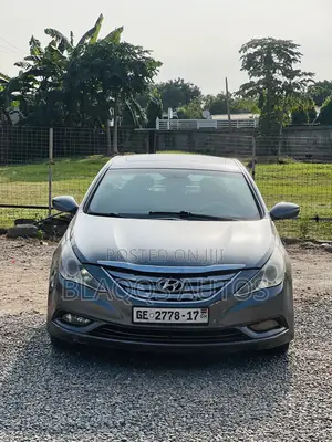 Hyundai Sonata 2013 Gray