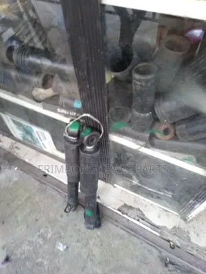 Hyundai Santa Fe 2008 to 2018 Back Shocks Absorbers