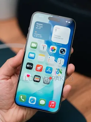 Apple iPhone 15 Pro Max 256 GB Silver