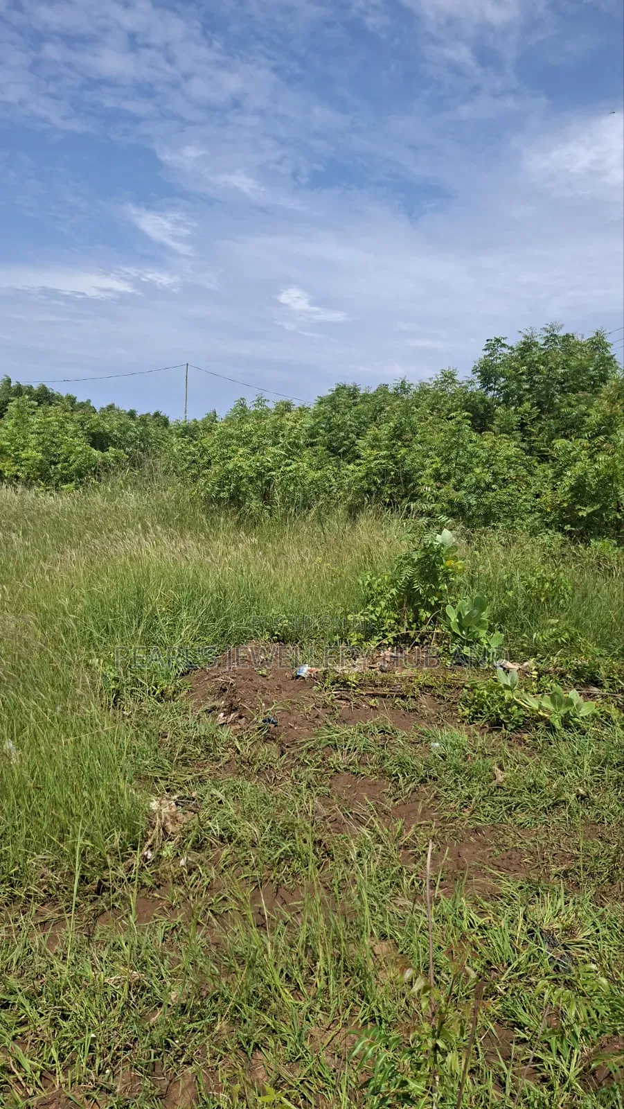 Land for Sale Near Community 26