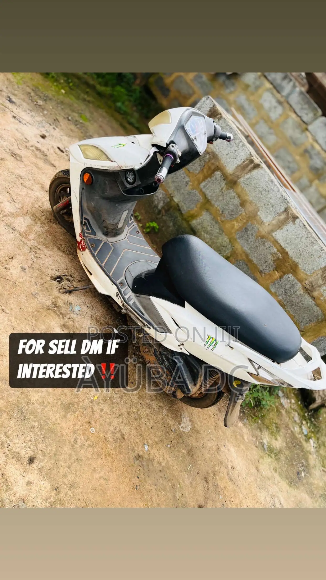Kymco 2024 White