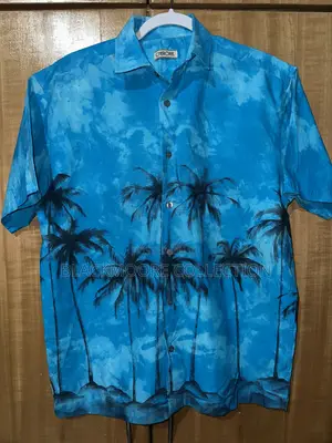 Men's Shirt