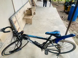 Racer Bicycle