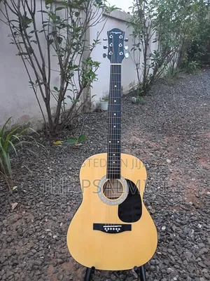Martin Smith Acoustic Guitar